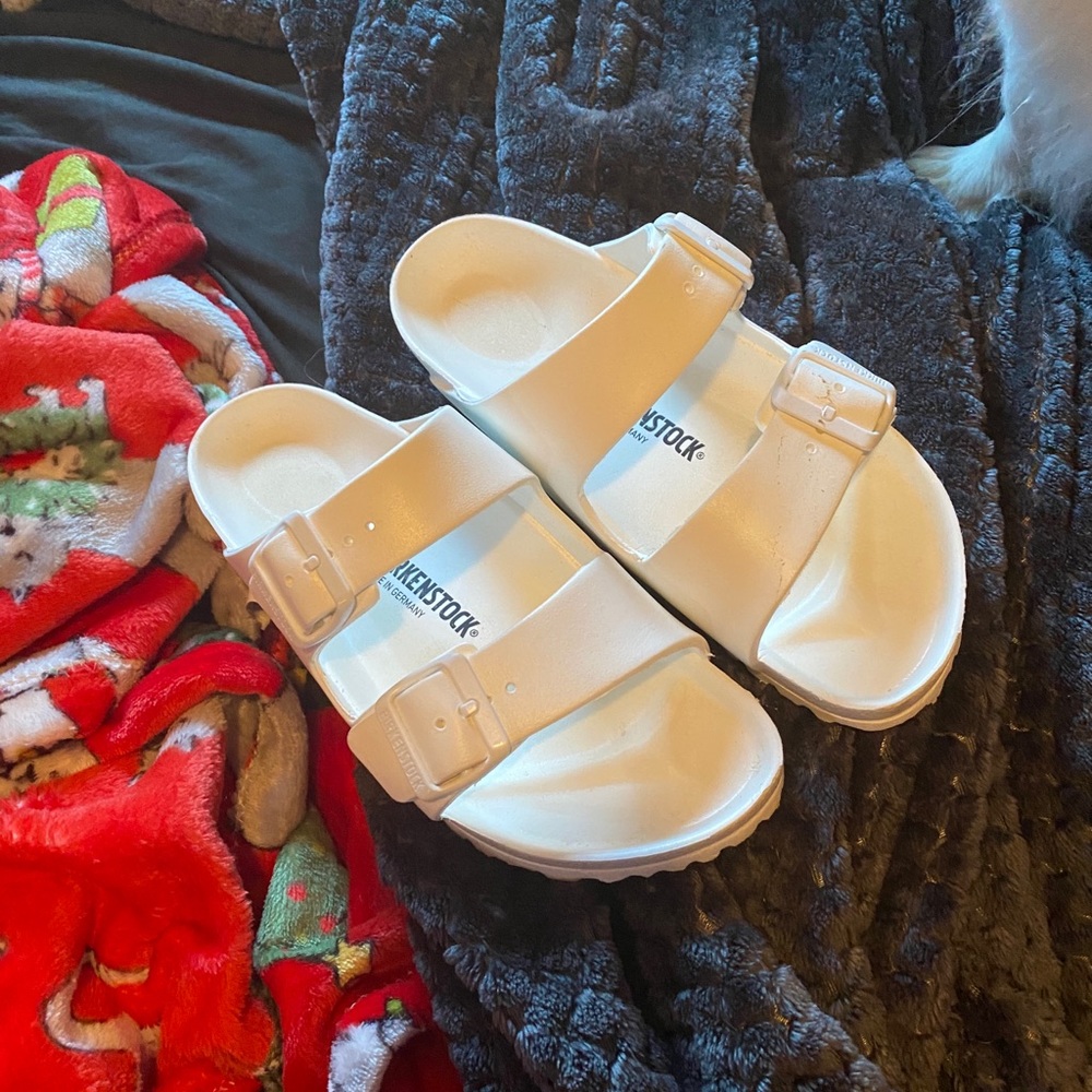 Birkenstocks